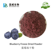 蓝莓冻干粉